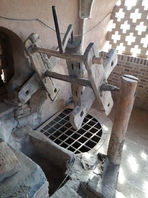 سفر تیم طبیعت گردی مرکز به کاشان ، روستای ابیانه و منظقه کویری: عکس شماره 6 / 12